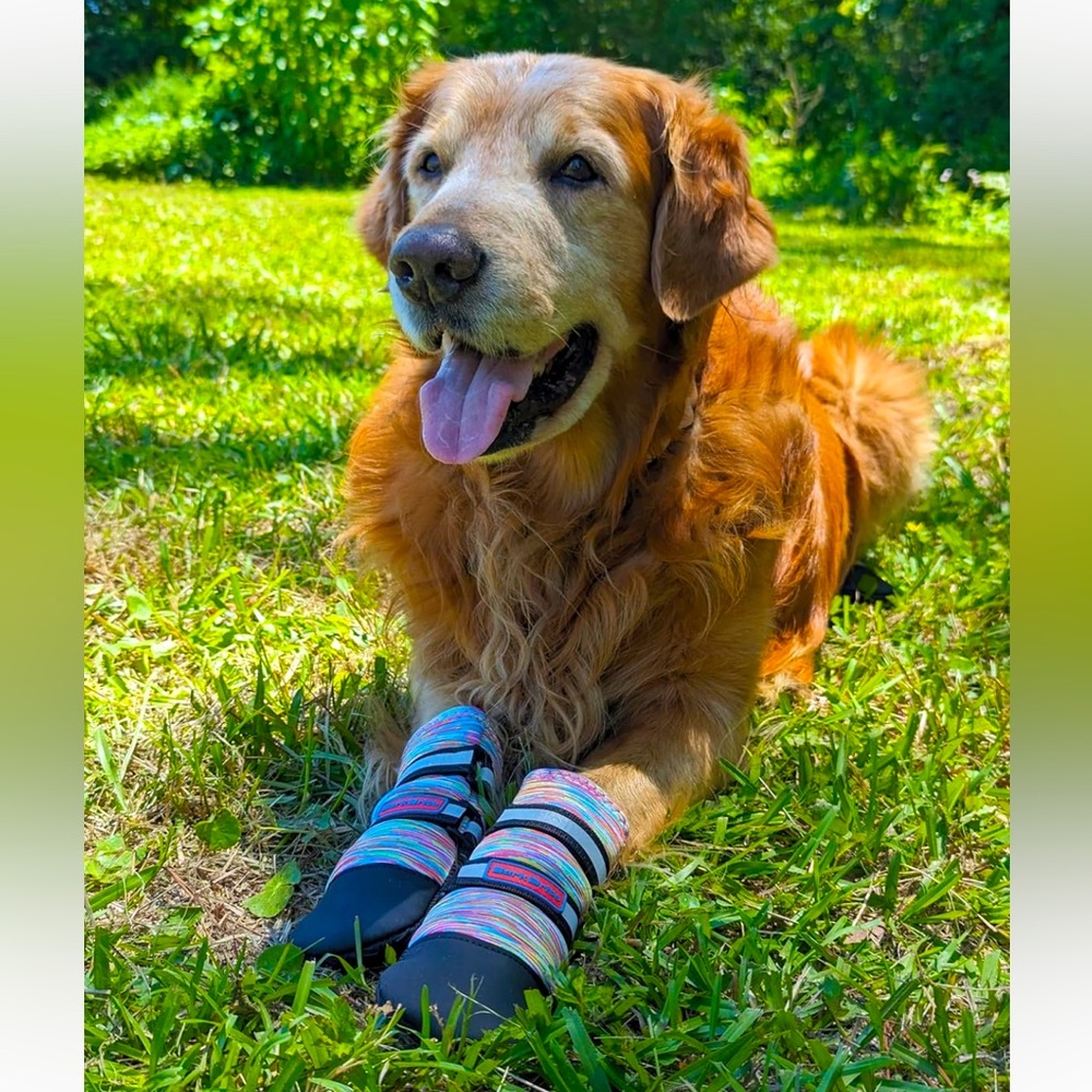 Like New Bark Brite Rainbow Neoprene Dog Booties (Size Large)